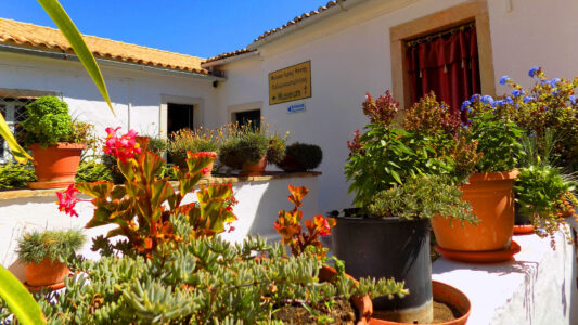 Captain Homer's Boat Trips Grand Island Tour