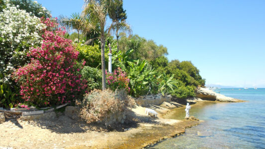 Captain Homer's Boat Trips Photo 3