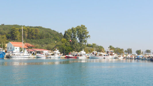 Captain Homer's Boat Trips Photo 15